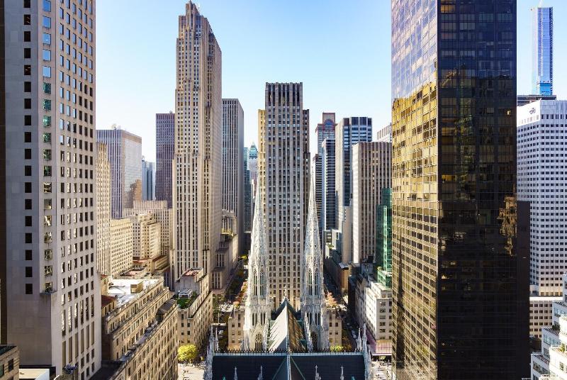 The Lotte New York Palace image