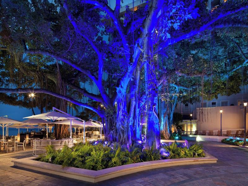 Moana Surfrider image