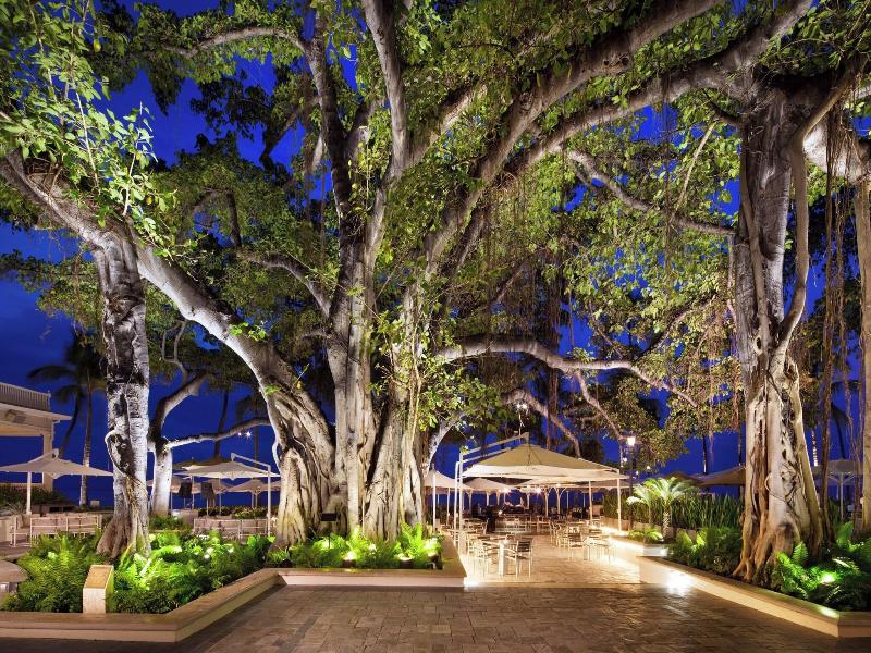 Moana Surfrider image