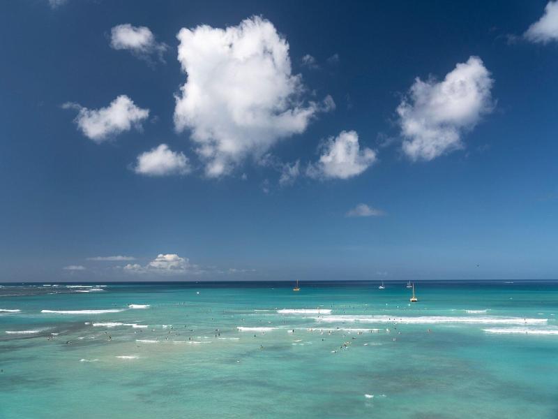 Moana Surfrider image