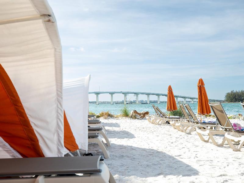 Winter the Dolphin's Beach Club image