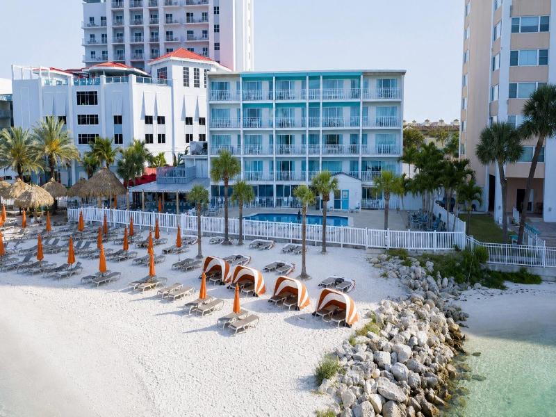 Winter the Dolphin's Beach Club image