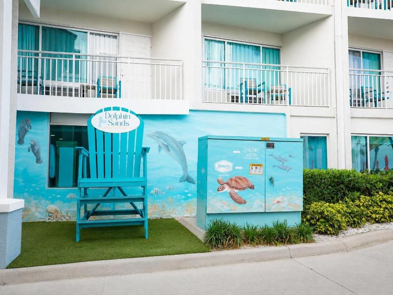 Winter the Dolphin's Beach Club image