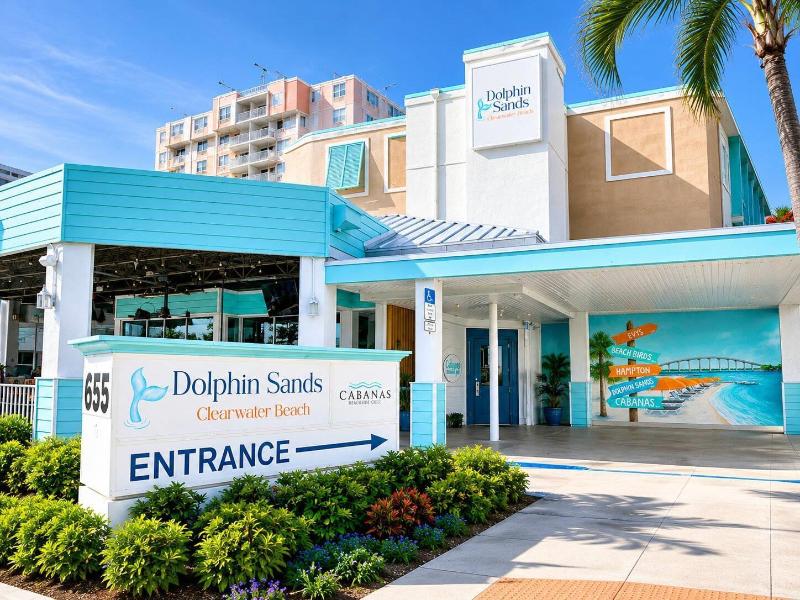 Winter the Dolphin's Beach Club image