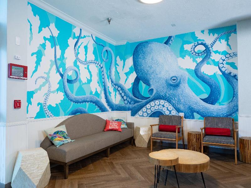Winter the Dolphin's Beach Club image