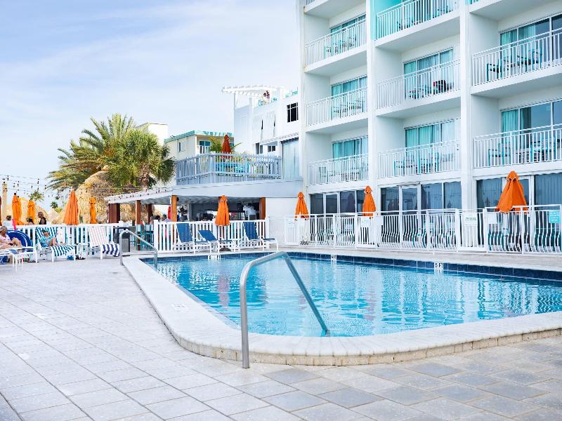 Winter the Dolphin's Beach Club image