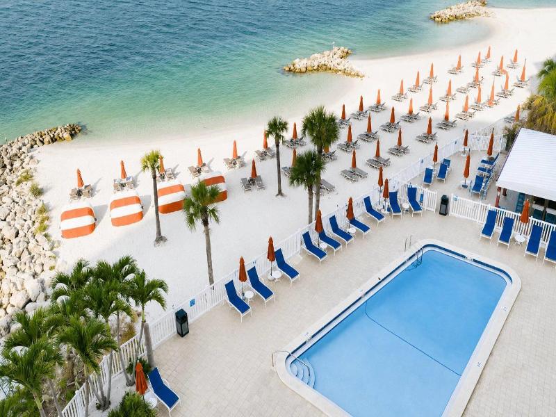 Winter the Dolphin's Beach Club image