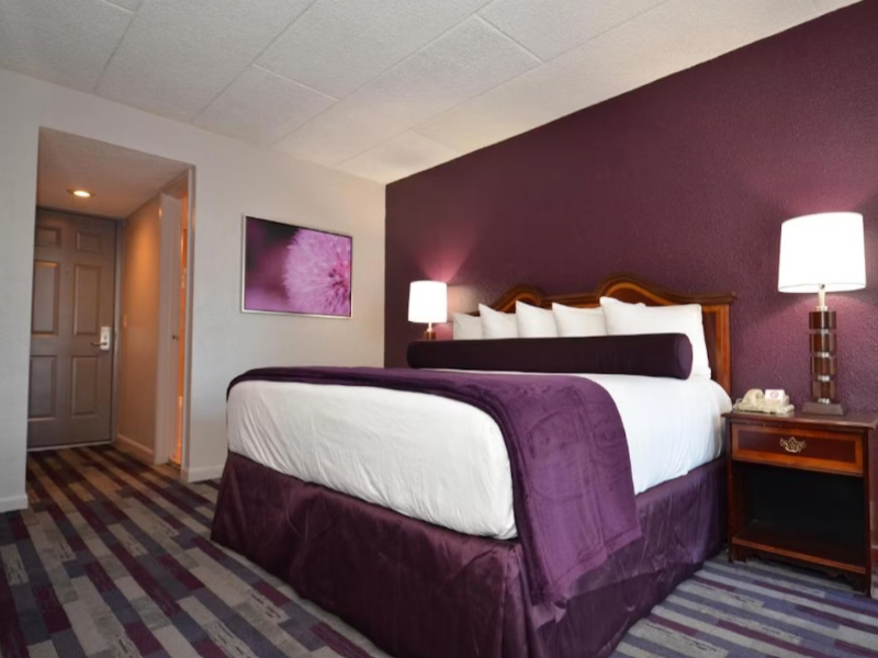 Sea Club Resort image