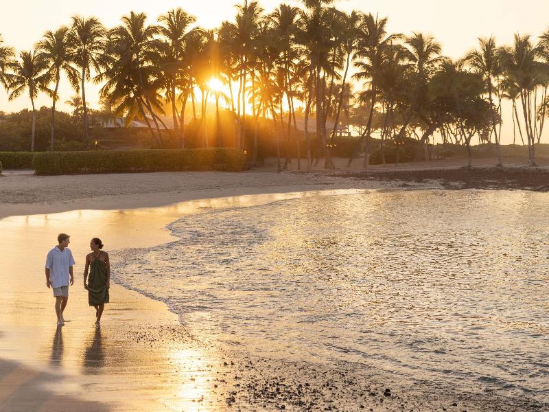 Fairmont Orchid image