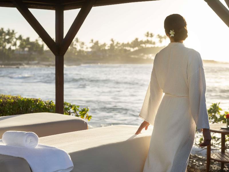 Fairmont Orchid image