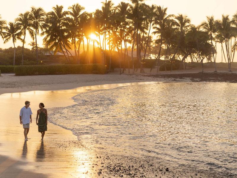 Fairmont Orchid