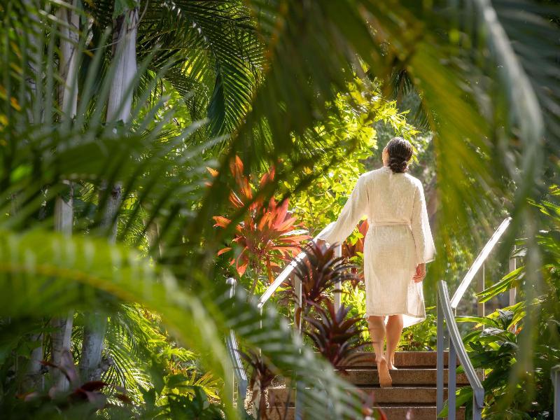 Fairmont Orchid image