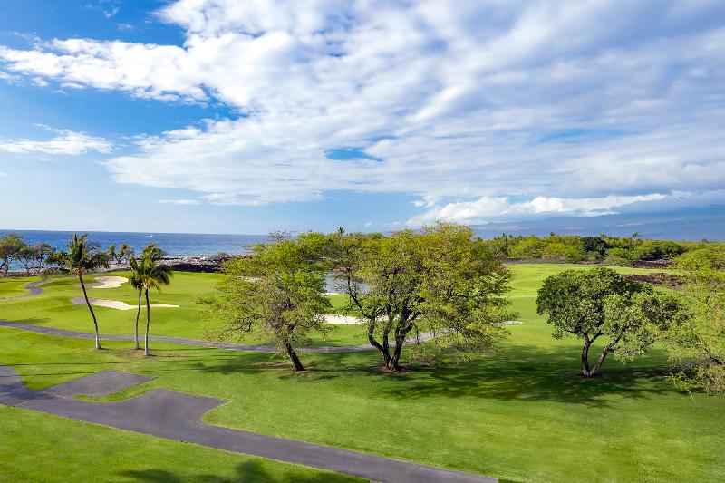 Fairmont Orchid image
