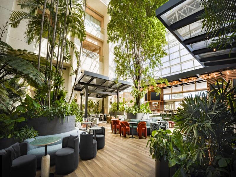 Signia by Hilton Diplomat Beach Resort image