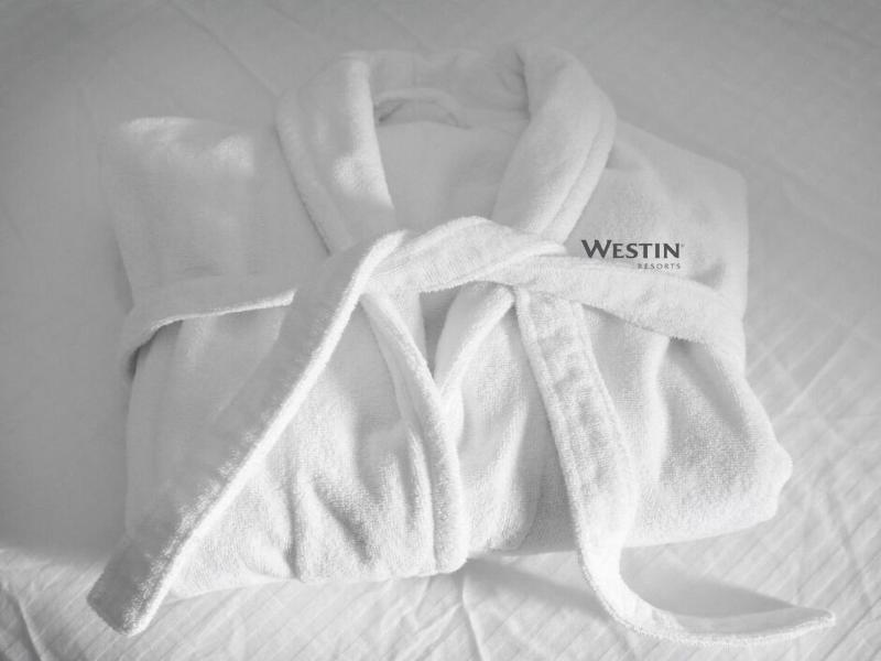 The Westin Oaks Houston at the Galleria image