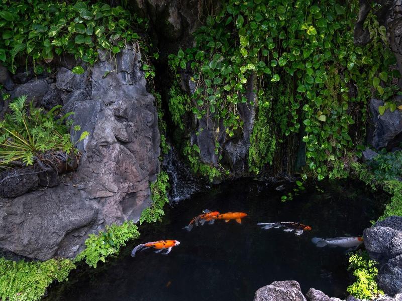 Sheraton Princess Kaiulani image