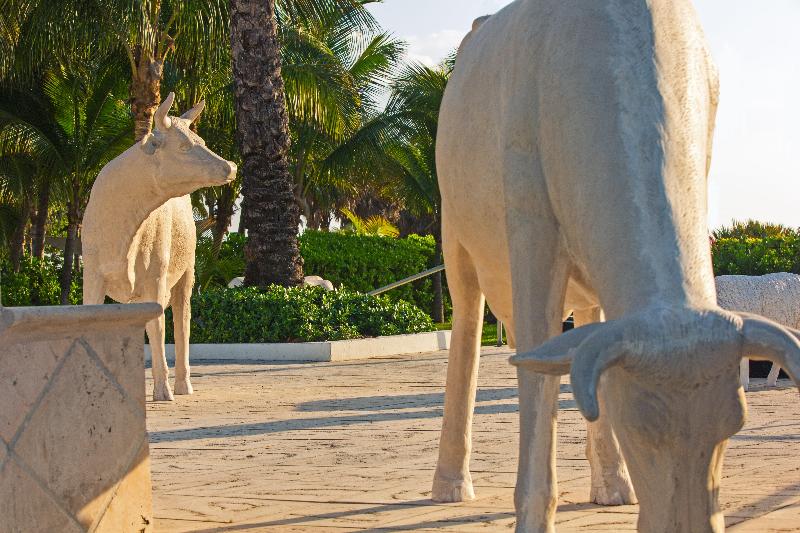 Stay in style at Kimpton Surfcomber Hotel