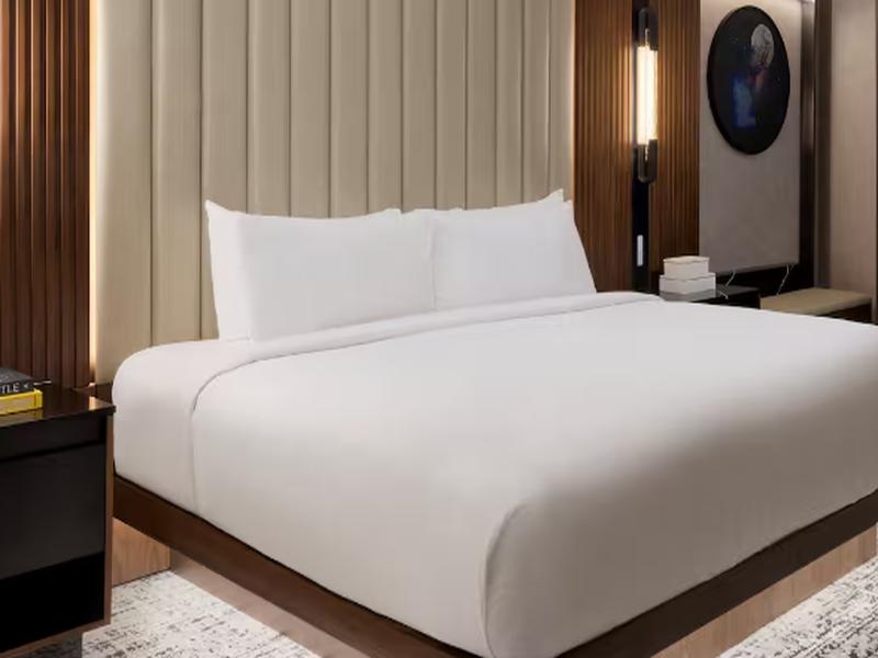 MGM Grand Las Vegas image