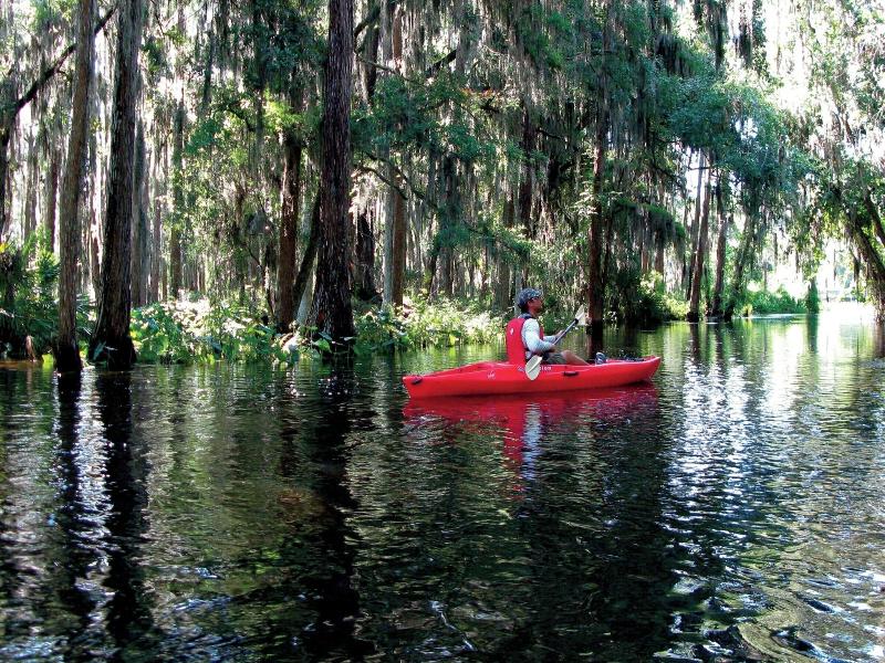 The Ritz-Carlton Orlando, Grande Lakes image