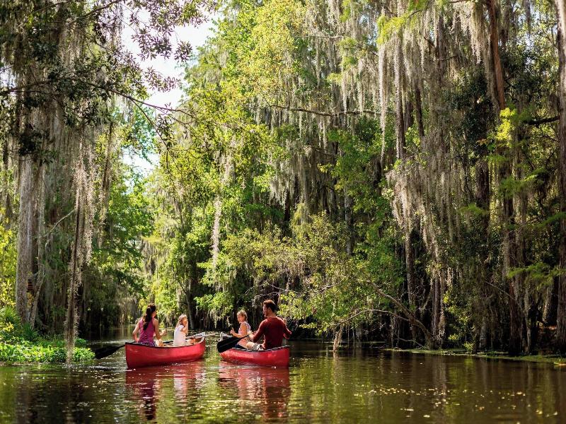 The Ritz-Carlton Orlando, Grande Lakes image