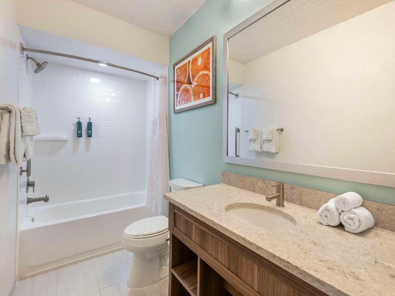 Hilton Vacation Club Aqua Sol Orlando West image
