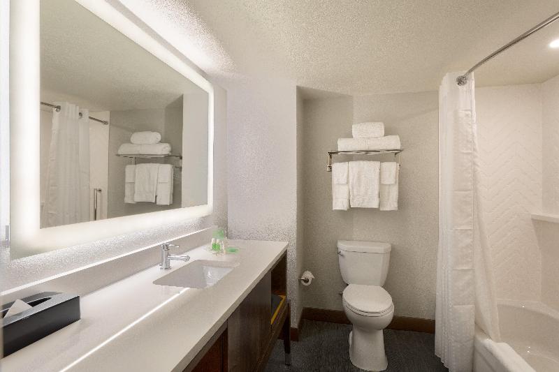 Holiday Inn Orlando SW Celebration image