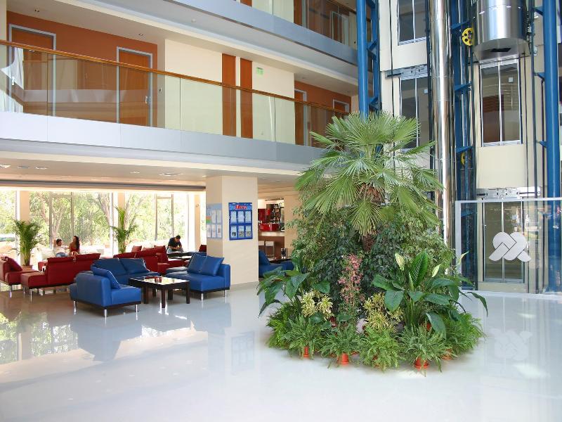 Hotel Marina Palace Affiliated by Melia image