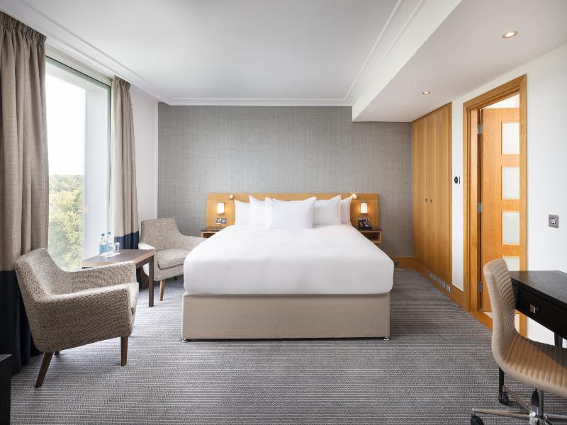 Hilton London Gatwick Airport image