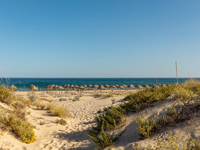 Praia da Lota Resort  image