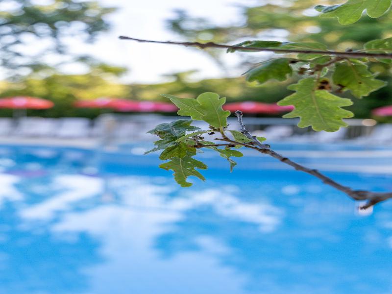 Hotel Preslav image