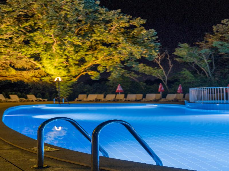 Hotel Preslav image