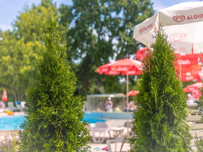 Hotel Preslav image