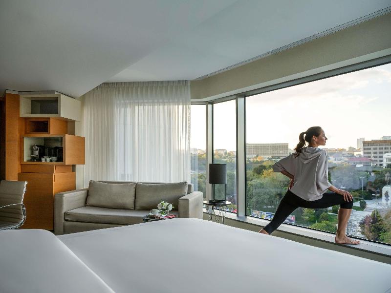 Swissotel The Bosphorus Istanbul image