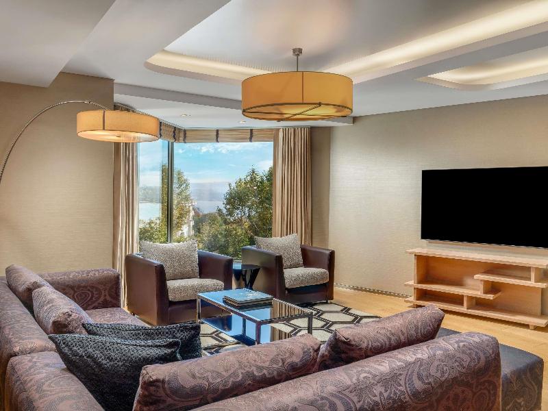 Swissotel The Bosphorus Istanbul image