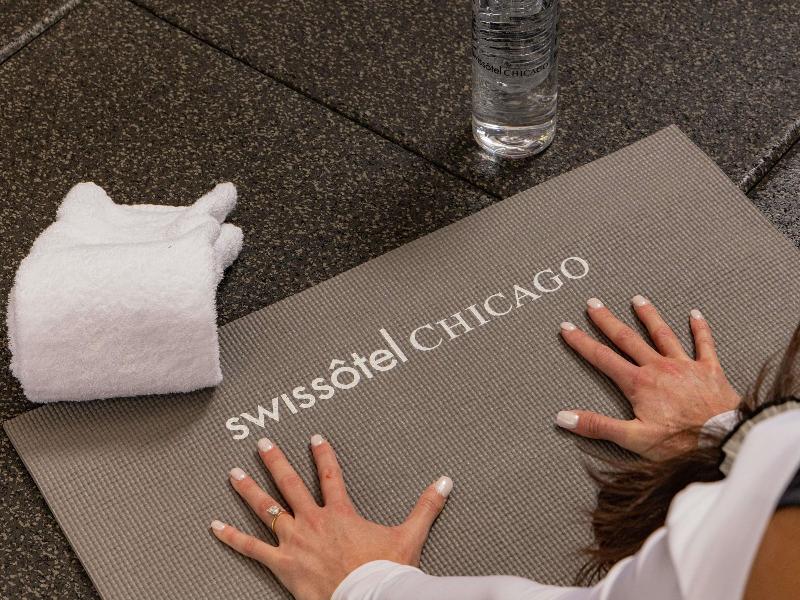 Swissotel Chicago image