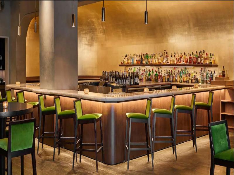 The Chicago Hotel Collection Ambassador Gold Coast image