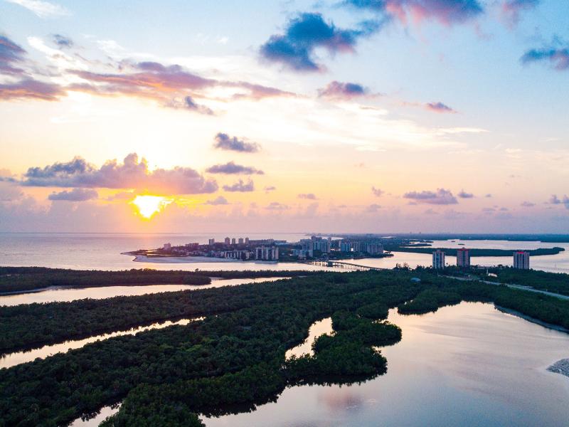 Pointe Estero image