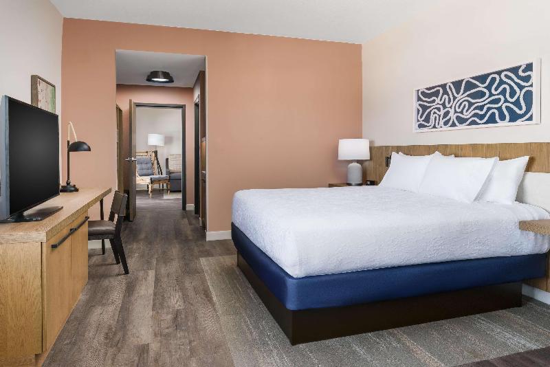 Hilton Garden Inn St Pete Beach image