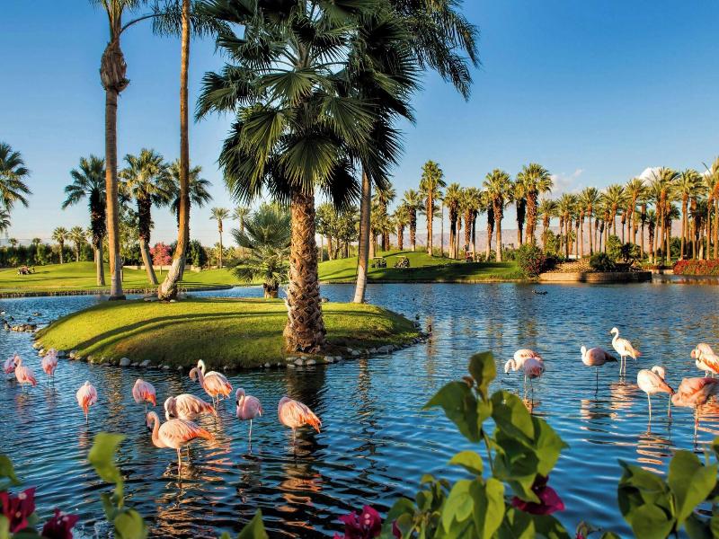 JW Marriott Desert Springs Resort & Spa image