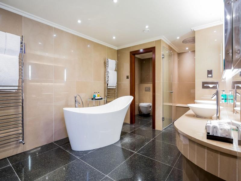 Radisson Blu Hotel & Conference Centre, London LHR image