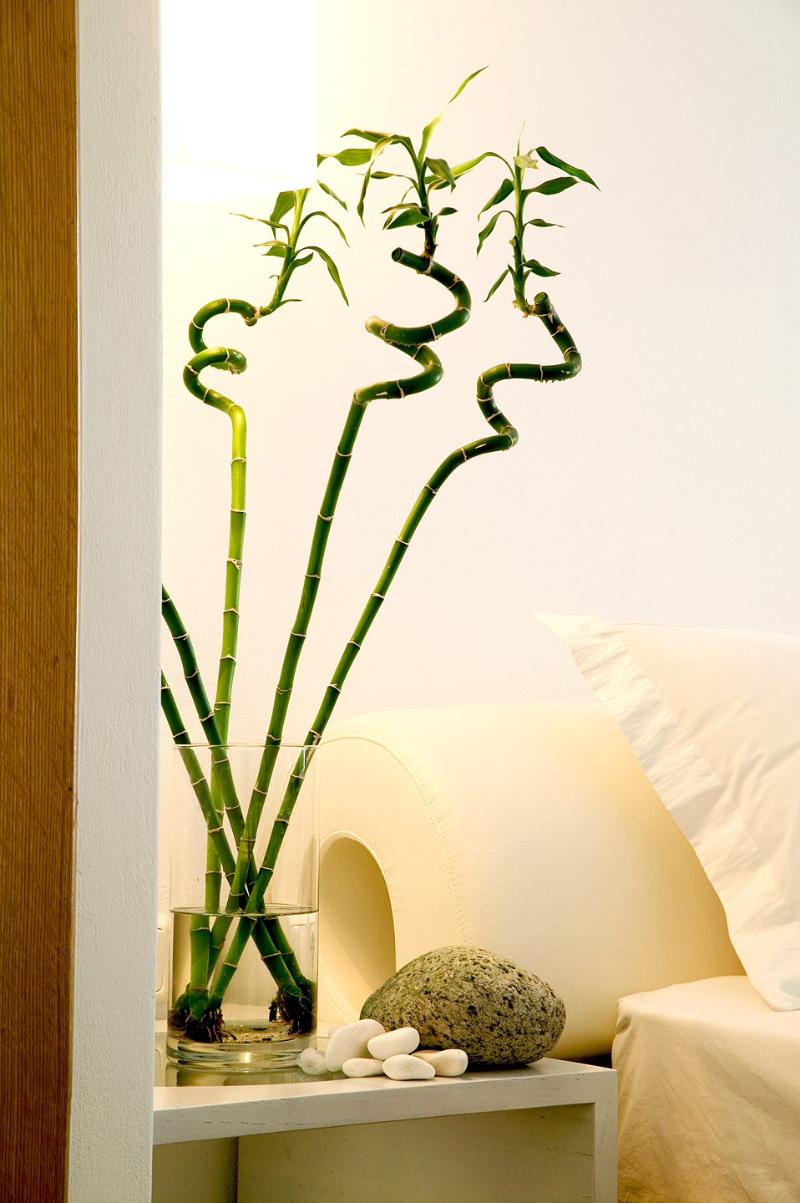 Petasos Beach Resort & Spa