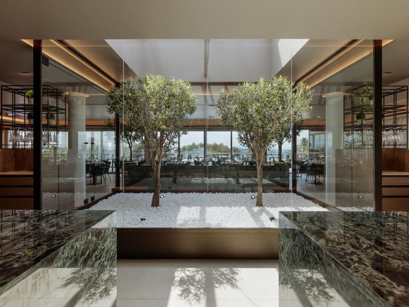 Divani Apollon Palace and Thalasso image