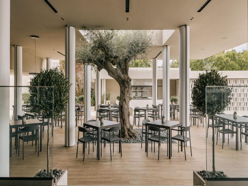 Divani Apollon Palace and Thalasso image