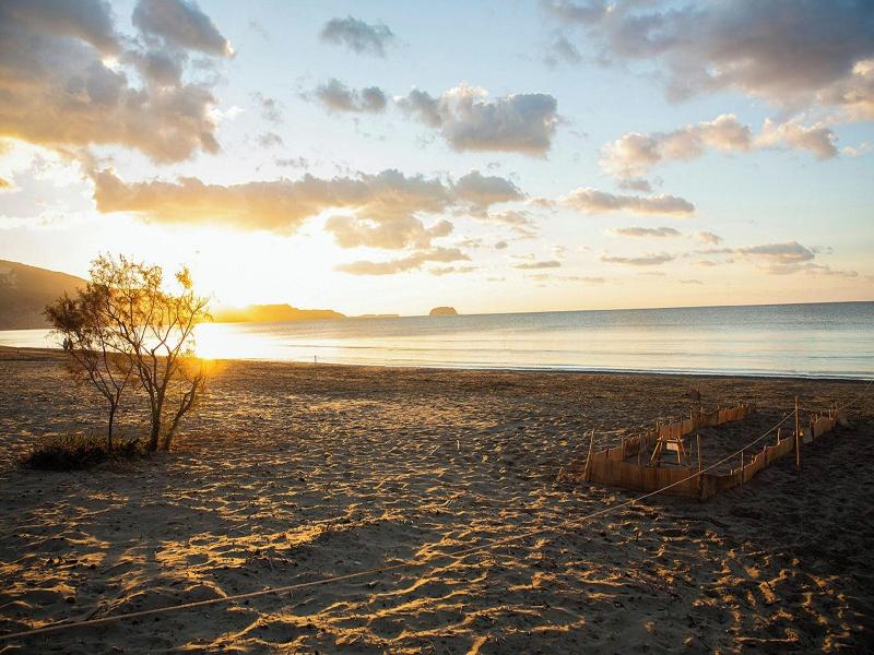 Zante Beach Resort image