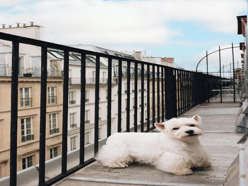Renaissance Paris Vendome image