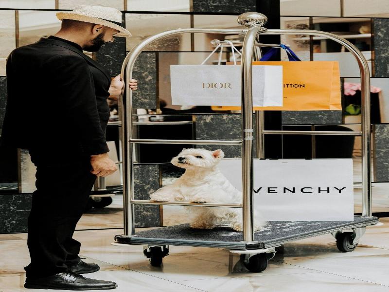 Renaissance Paris Vendome image