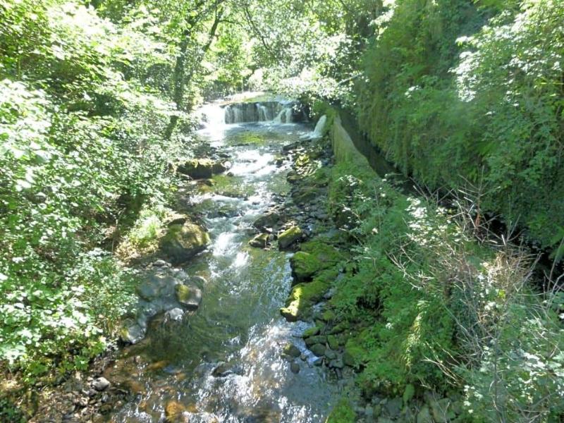 La Pista  image