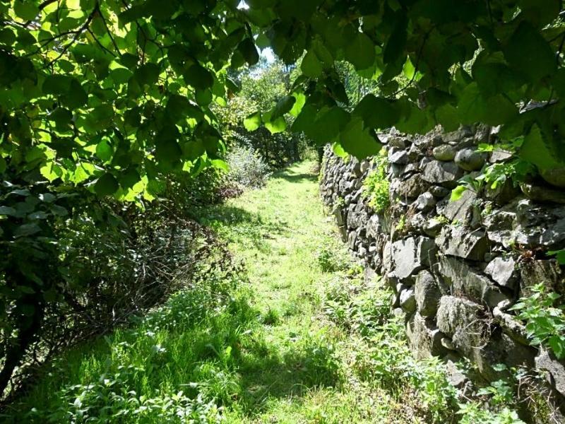 La Pista  image