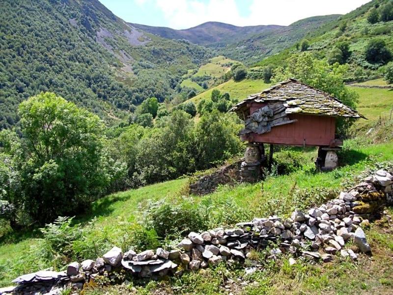 La Pista  image