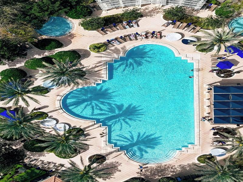 Renaissance Orlando At Seaworld® image